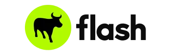 Flash Logo